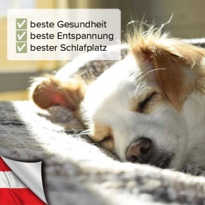 Kupfermatte für Hunde