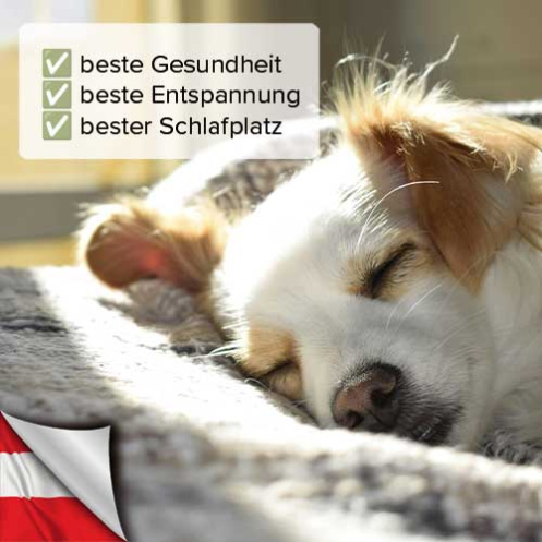 Kupfermatte für Hunde